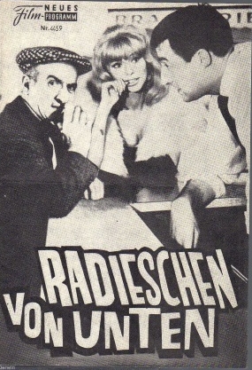 Radieschen von unten